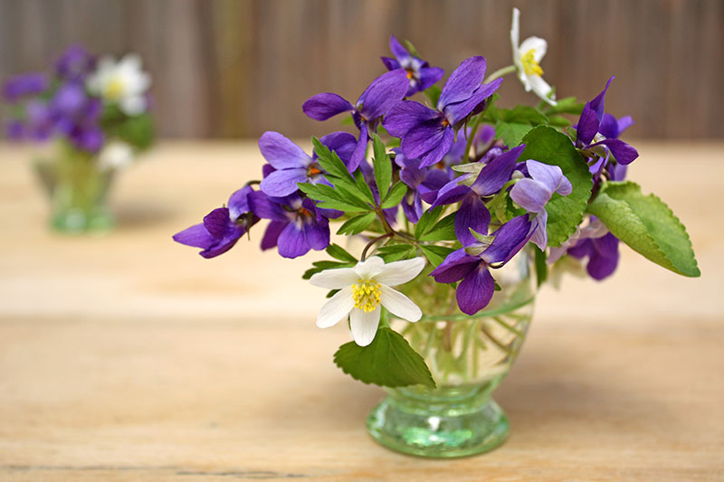 Business Flowers